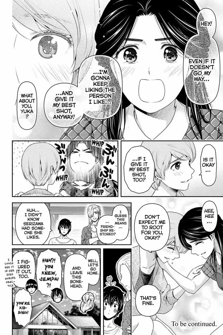 Domestic na Kanojo 167