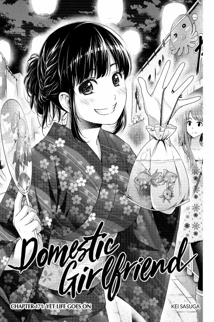 Domestic na Kanojo 171
