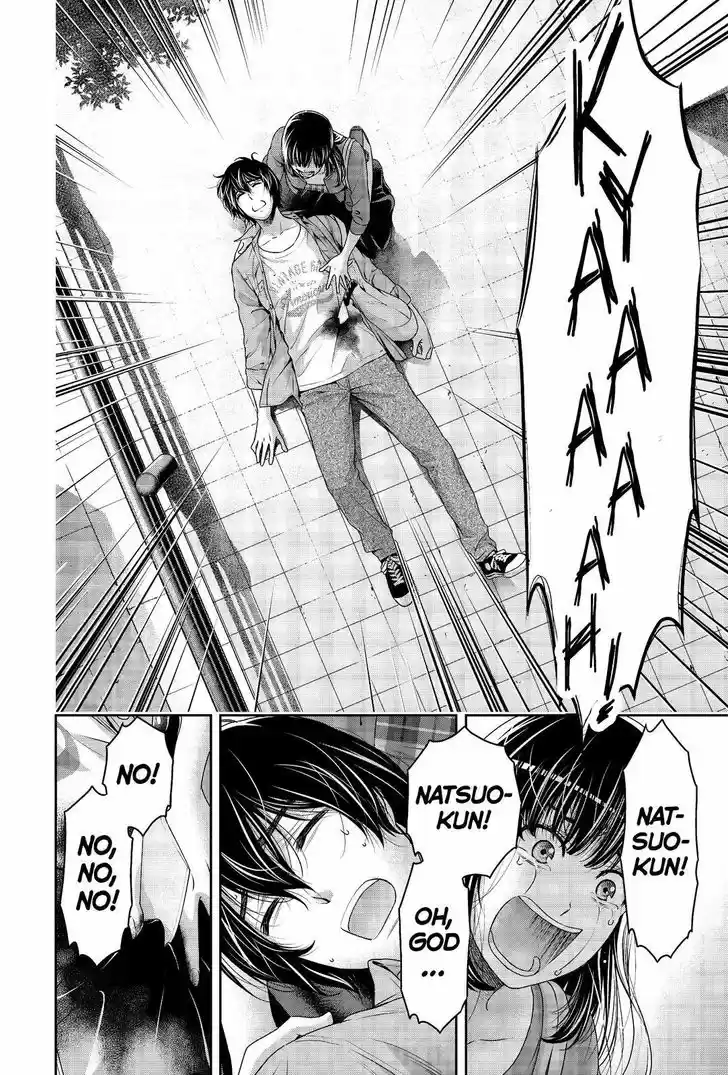 Domestic na Kanojo 185
