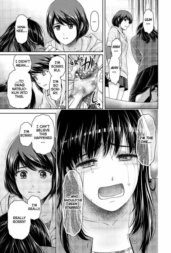 Domestic na Kanojo 185