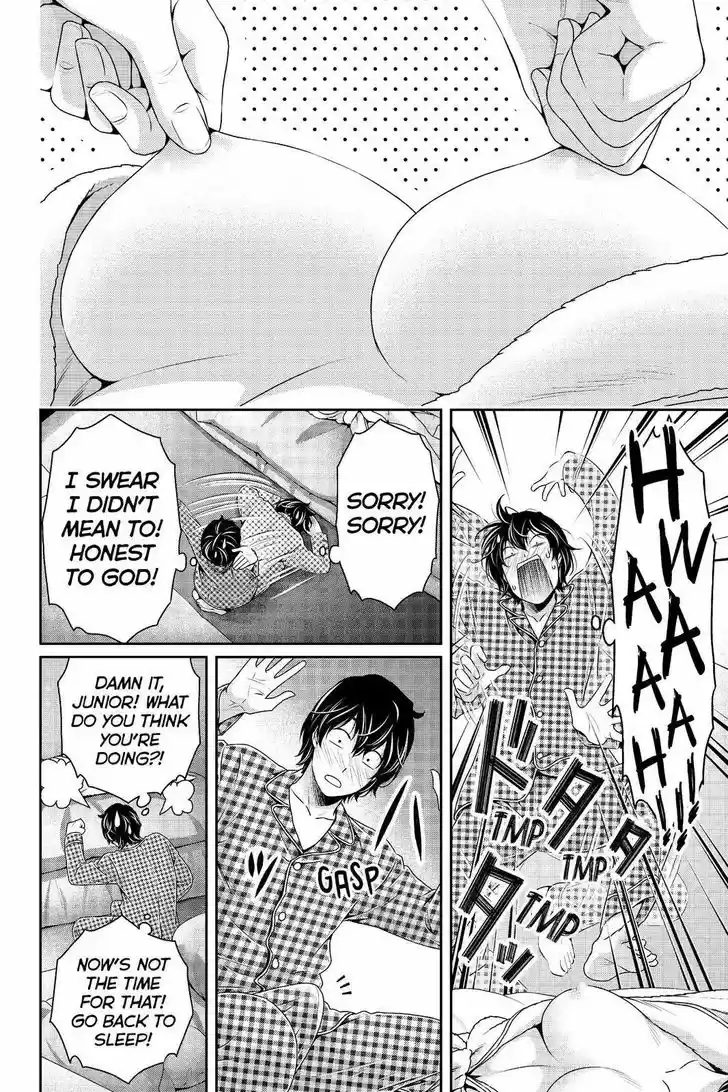 Domestic na Kanojo 205