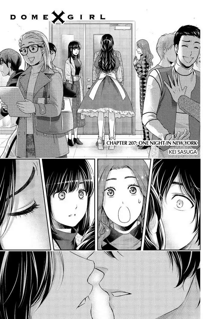 Domestic na Kanojo 207