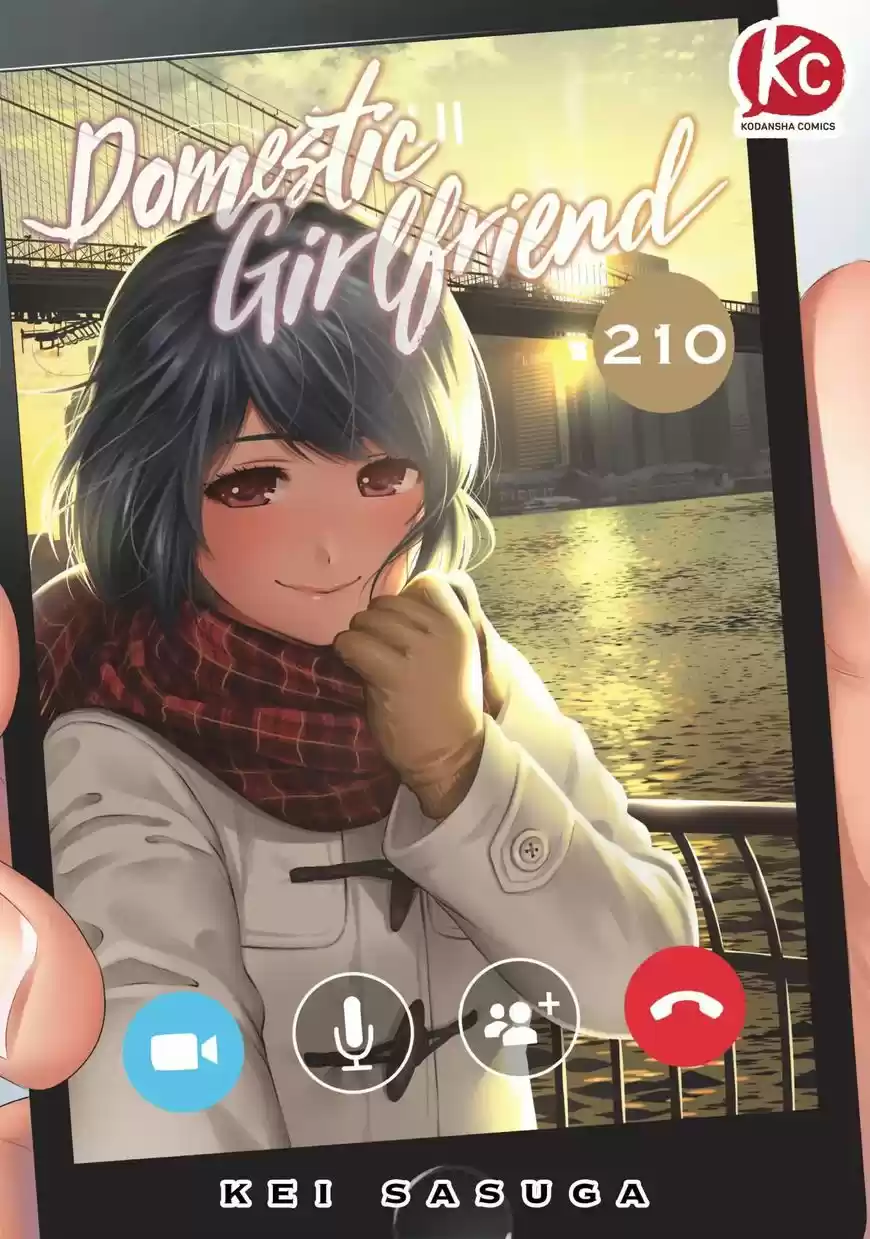 Domestic na Kanojo 210