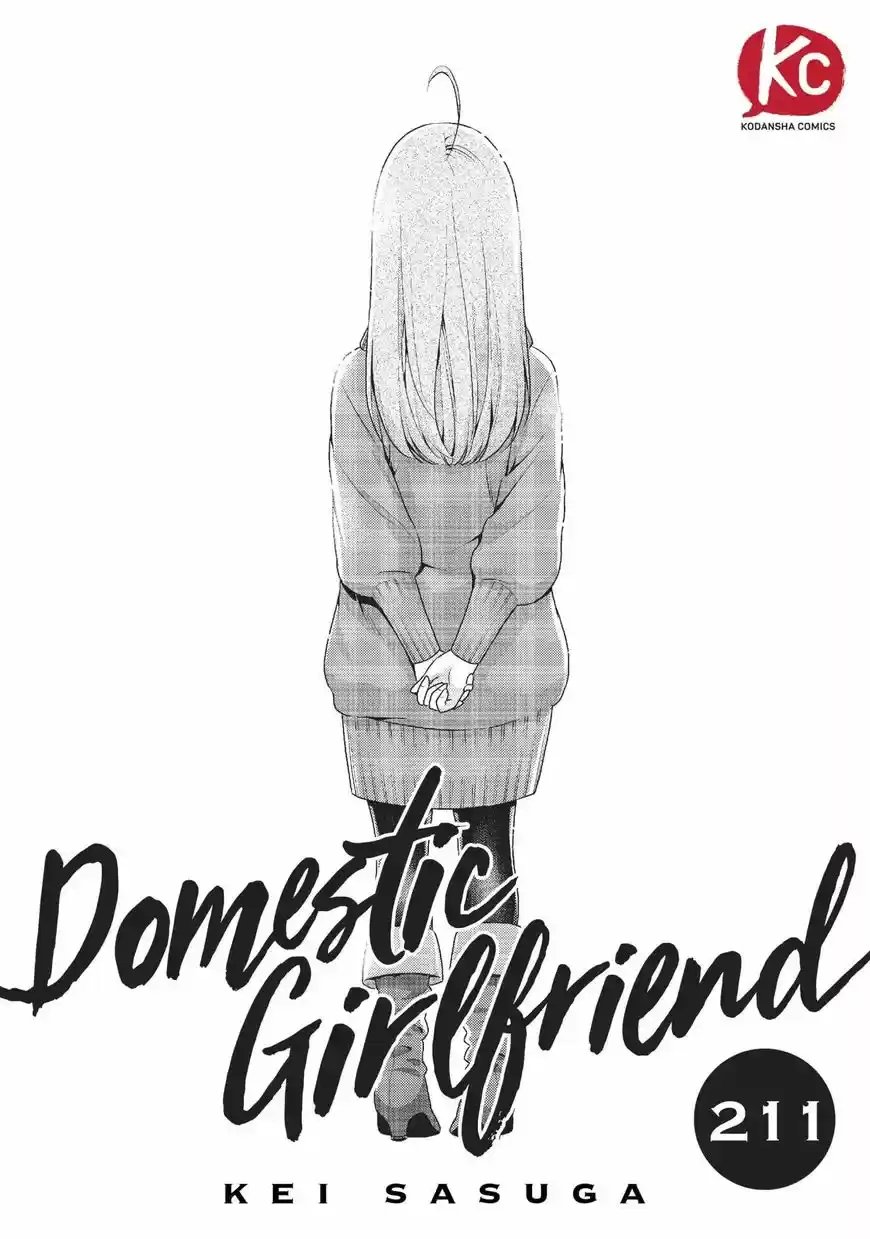 Domestic na Kanojo 211