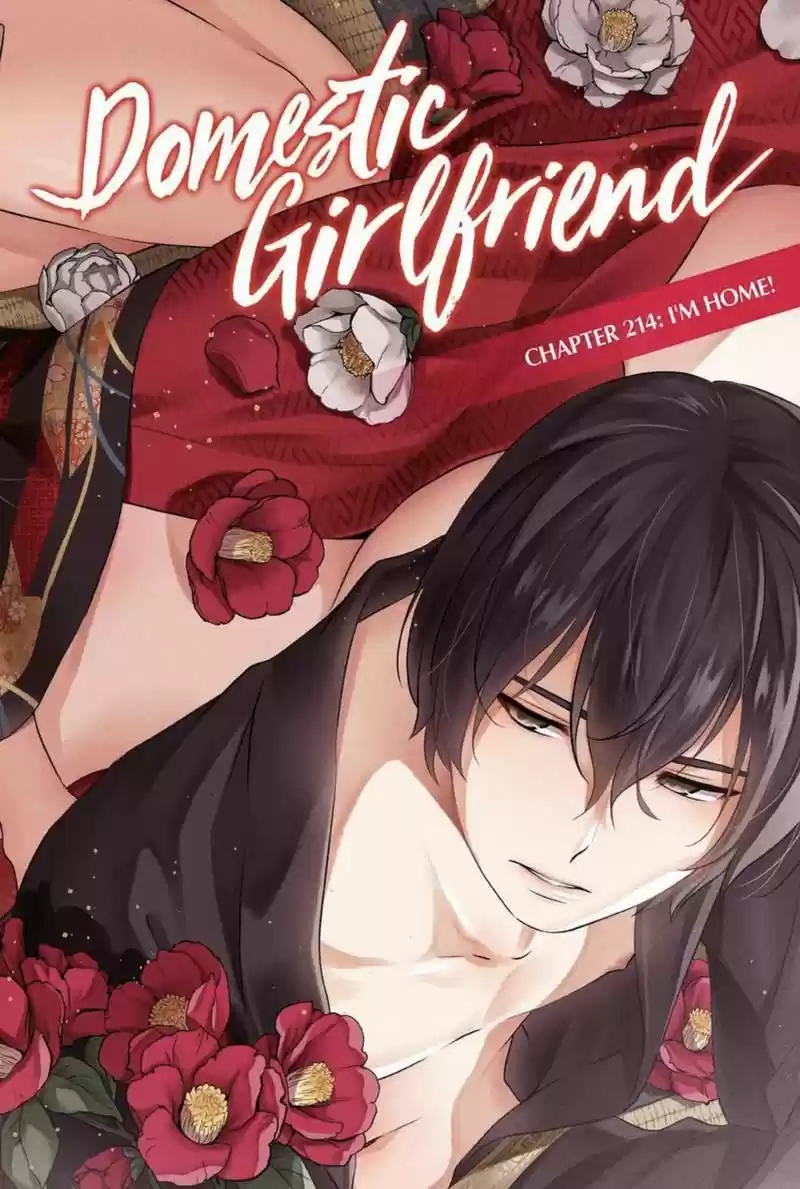 Domestic na Kanojo 214