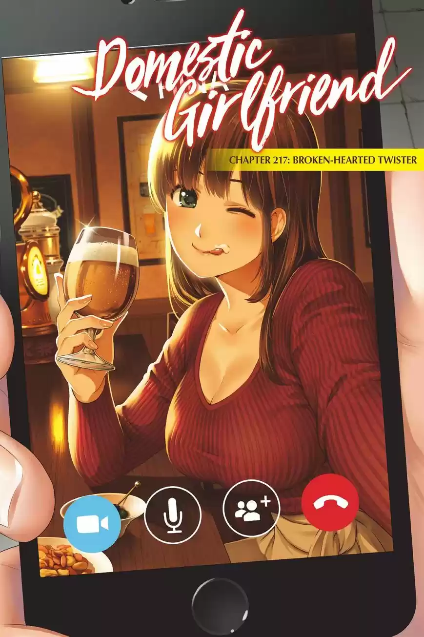 Domestic na Kanojo 217