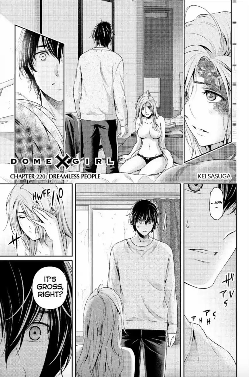 Domestic na Kanojo 220