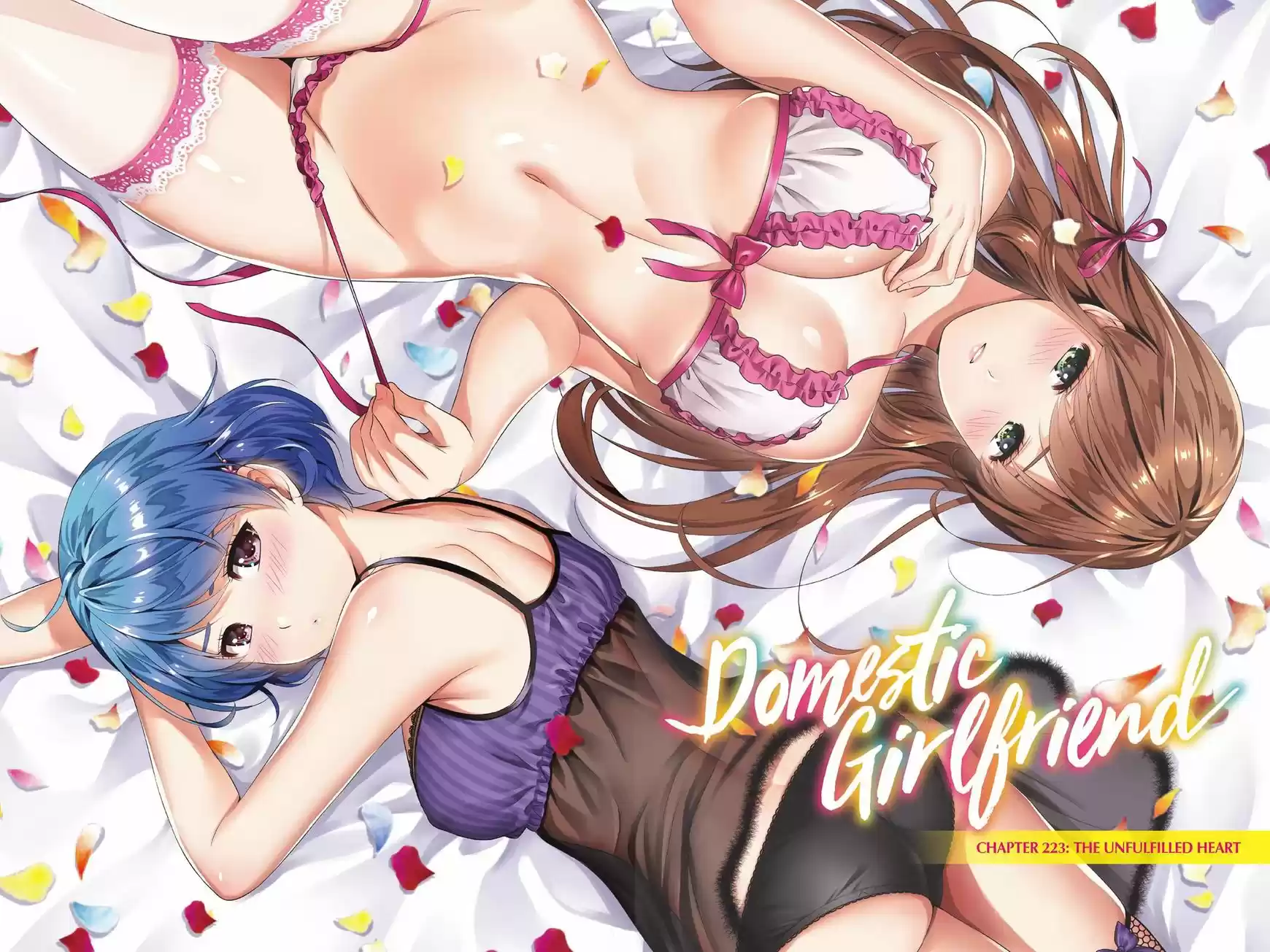 Domestic na Kanojo 223