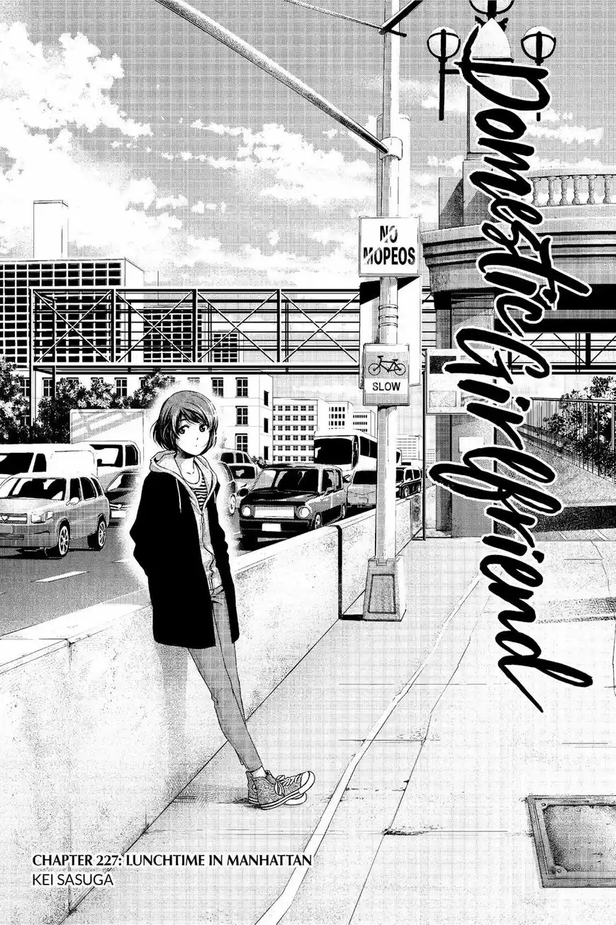 Domestic na Kanojo 227