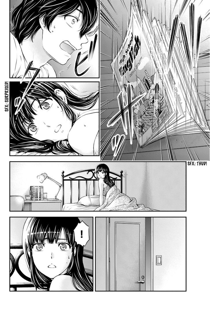 Domestic na Kanojo 24