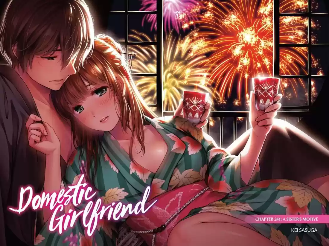 Domestic na Kanojo 241