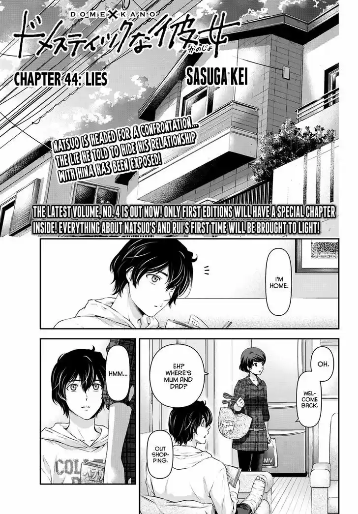 Domestic na Kanojo 44