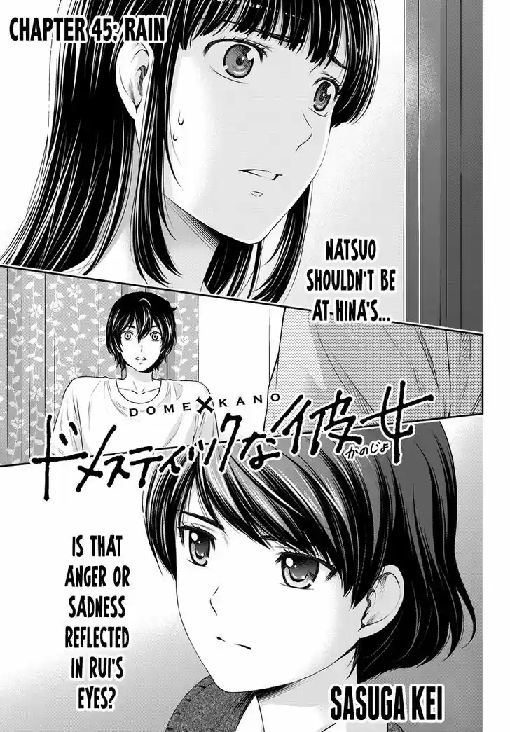 Domestic na Kanojo 45
