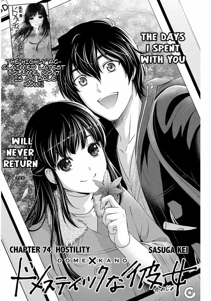 Domestic na Kanojo 74
