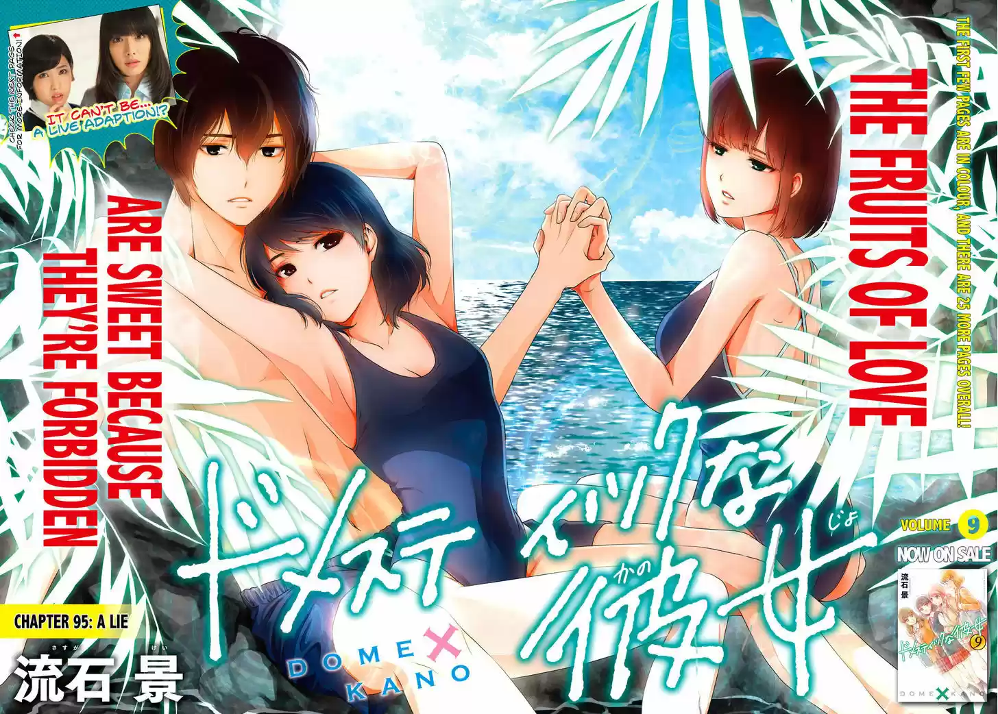 Domestic na Kanojo 95