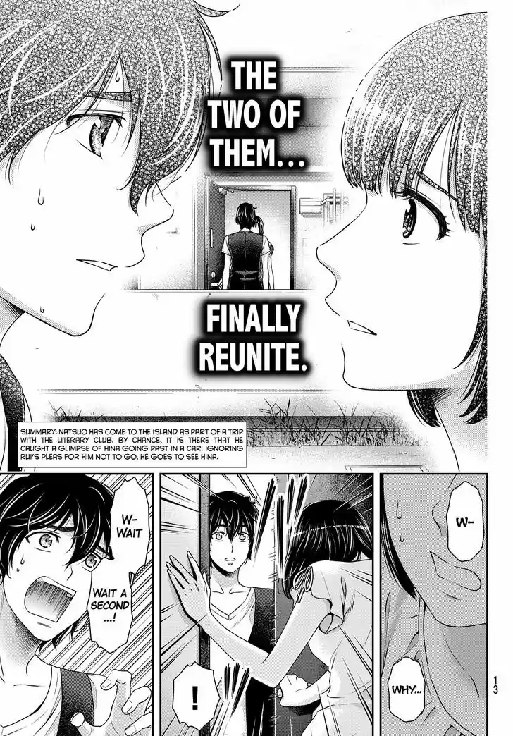 Domestic na Kanojo 95