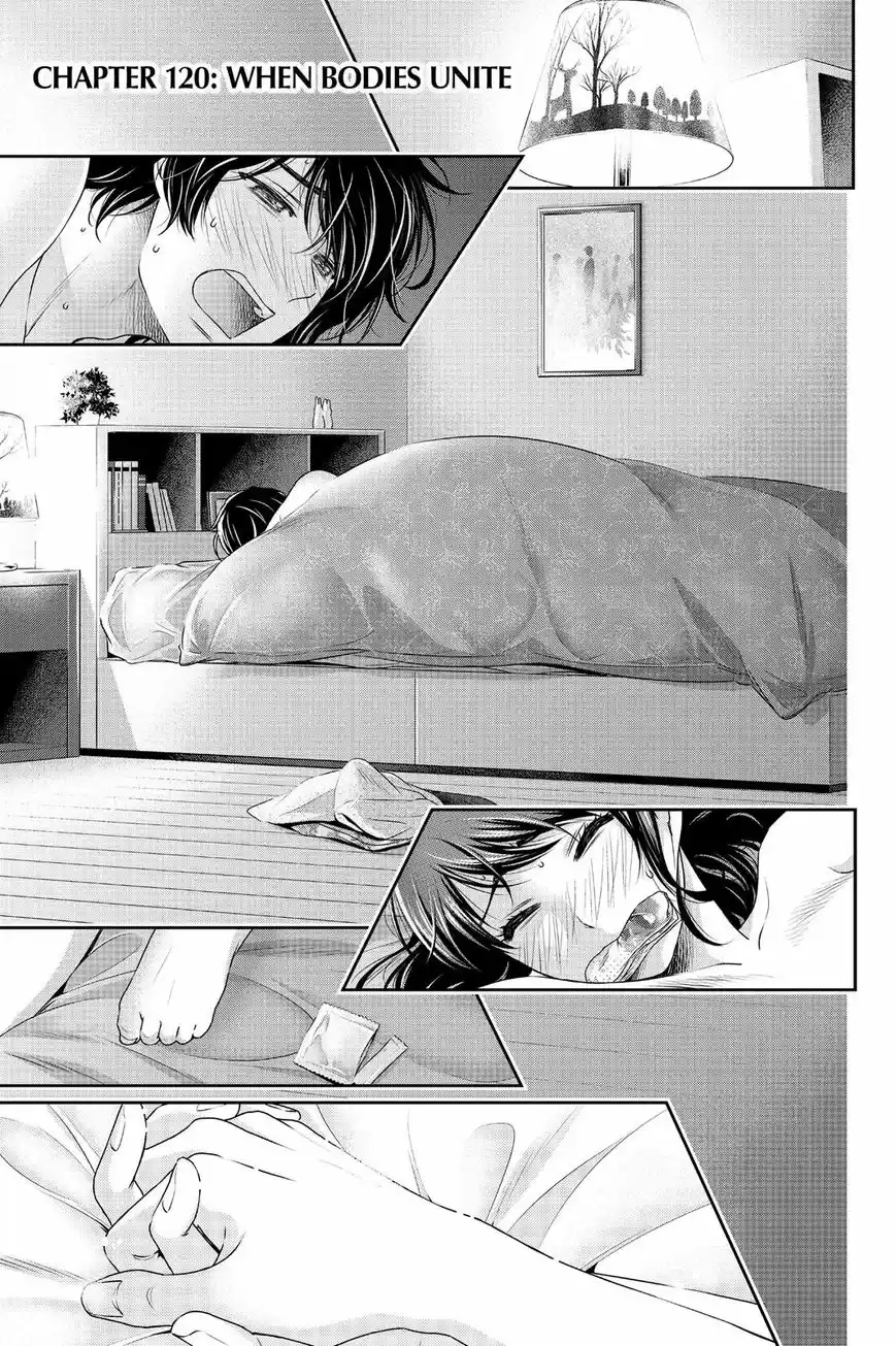 Domestic na Kanojo ch.120