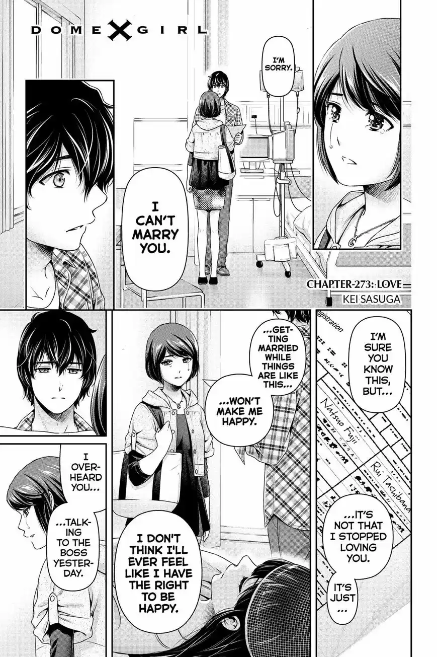Domestic na Kanojo ch.273