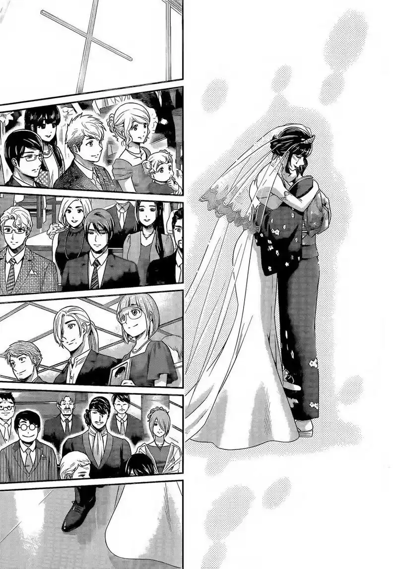 Domestic Na Kanojo Chapter 277: Domestic Girlfriend-End