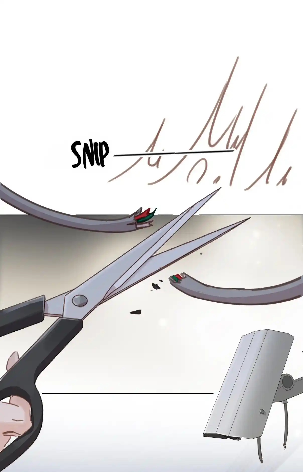 Don't Be Soft Rice Man 33