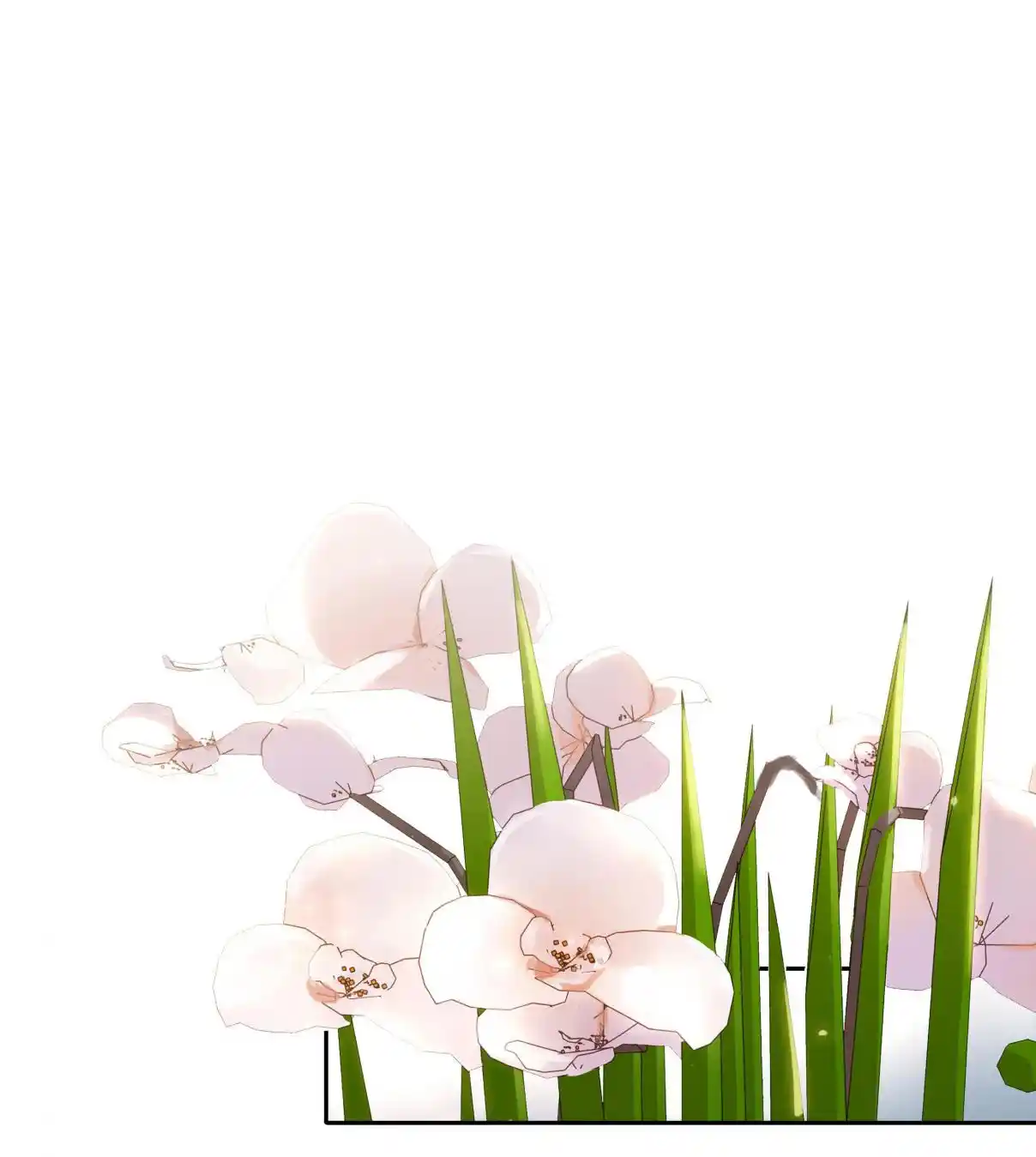 Don't Be Soft Rice Man 36