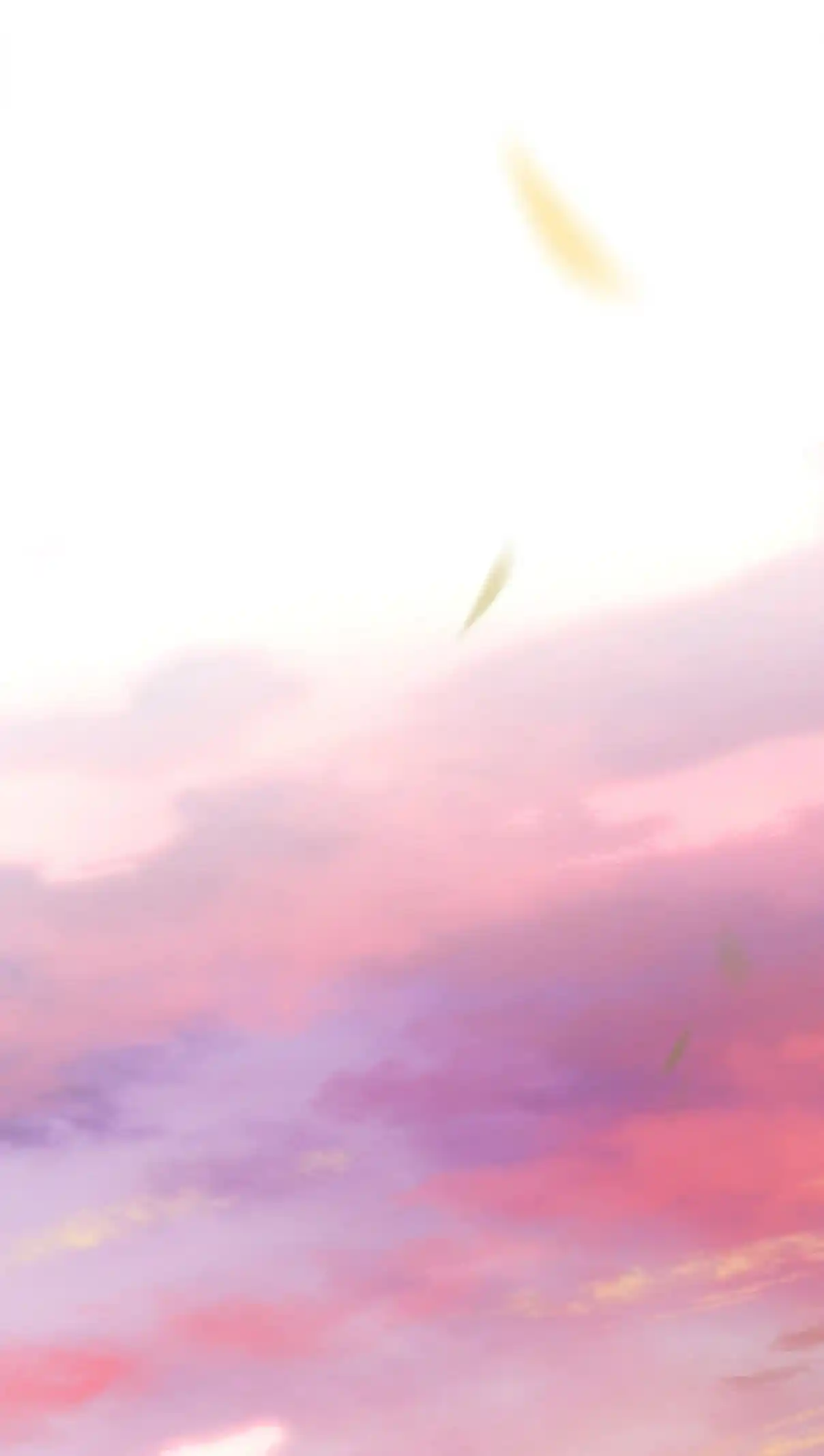 Don't Be Soft Rice Man 37