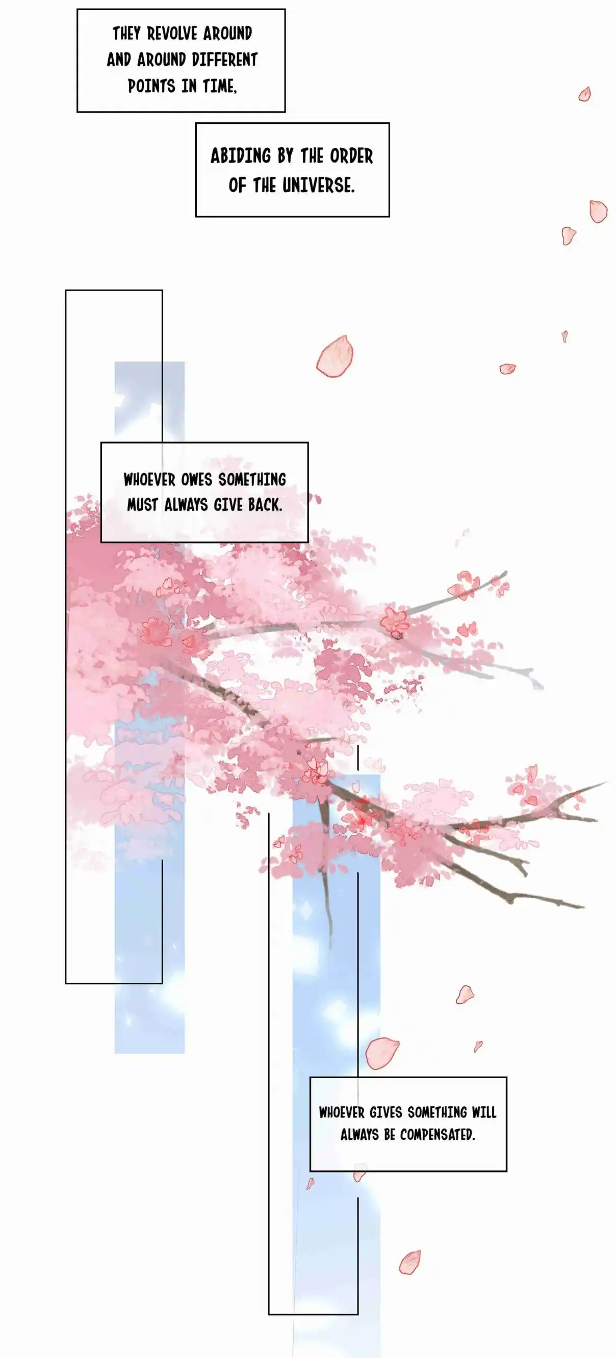 Don't Be Soft Rice Man 41