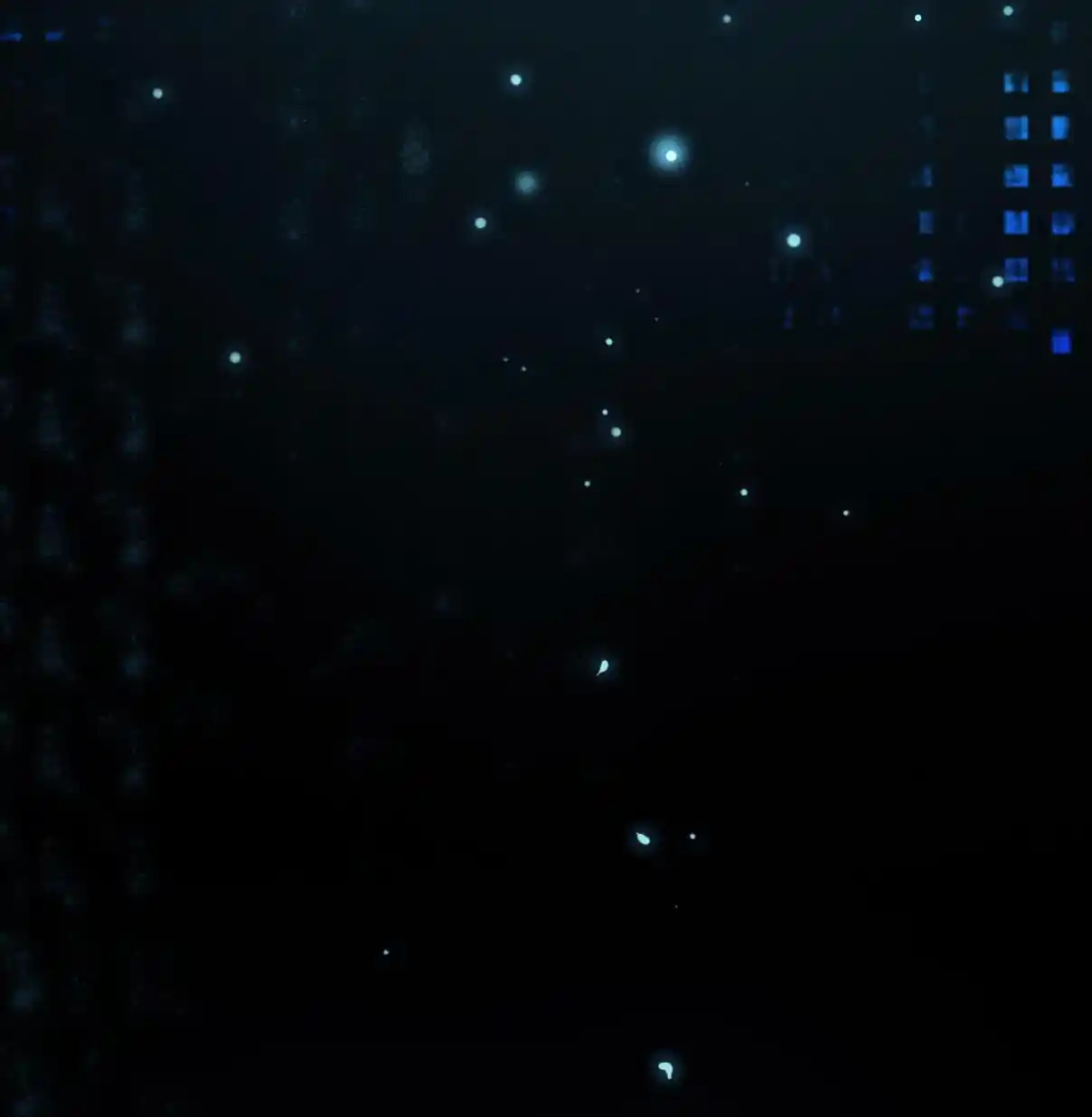 Don't Be Soft Rice Man 45