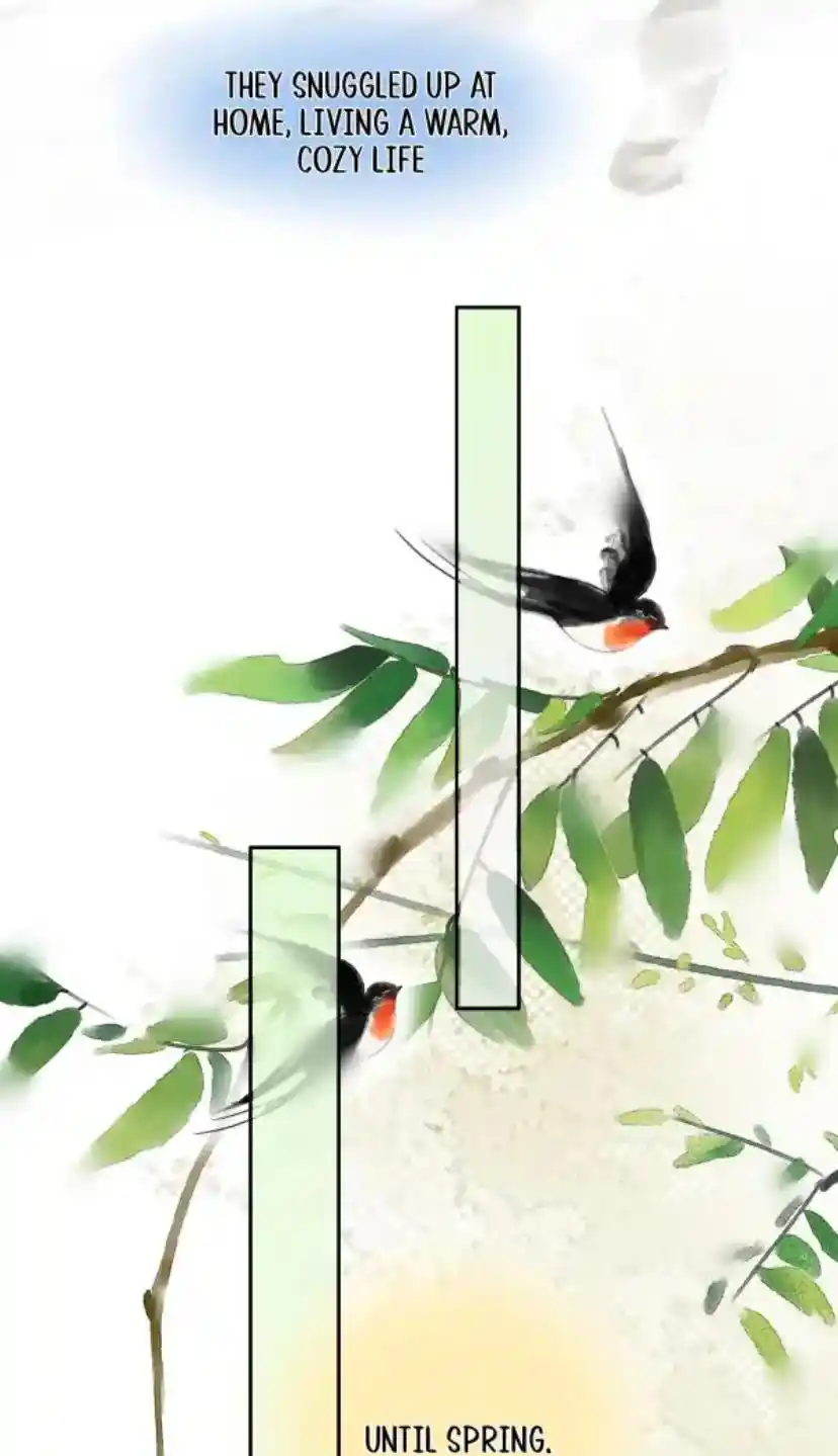 Don't Be Soft Rice Man Chapter 104