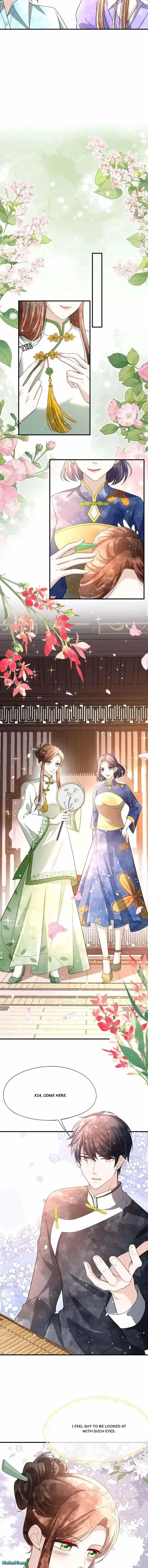 Don't Provoke the Contract Wife Ch.310