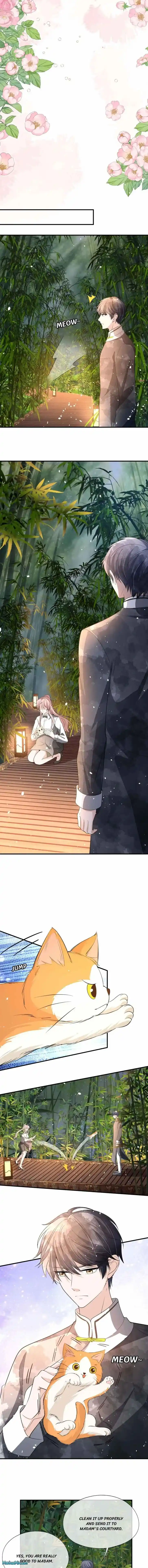 Don't Provoke the Contract Wife Ch.310