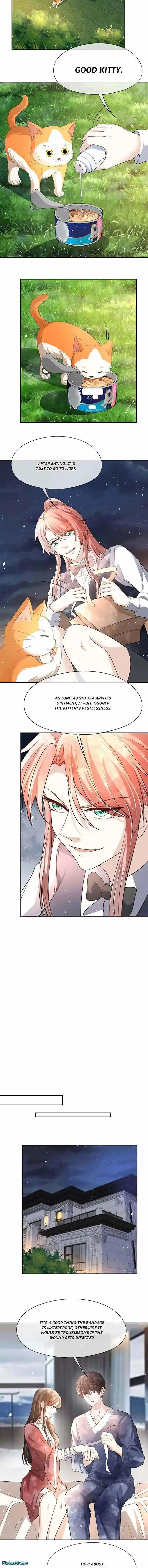 Don't Provoke the Contract Wife Ch.311