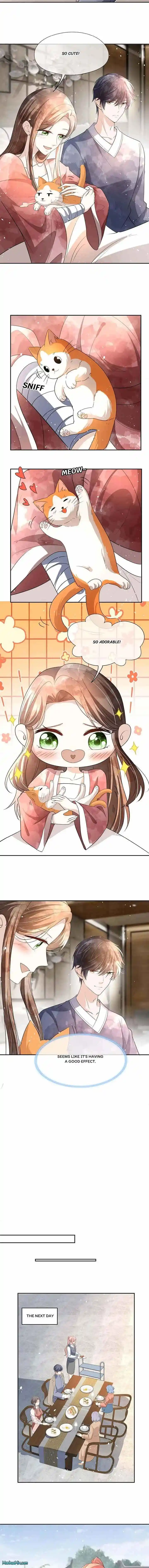 Don't Provoke the Contract Wife Ch.312