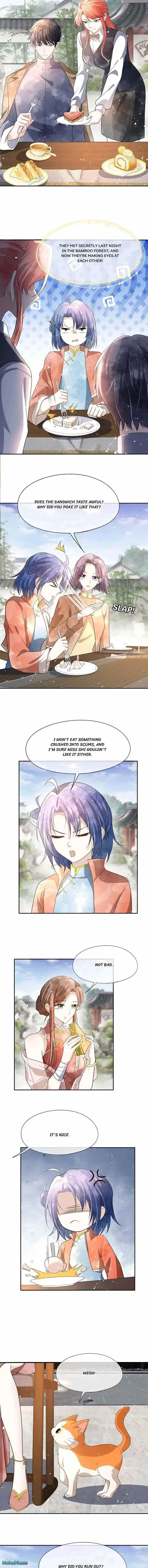 Don't Provoke the Contract Wife Ch.312