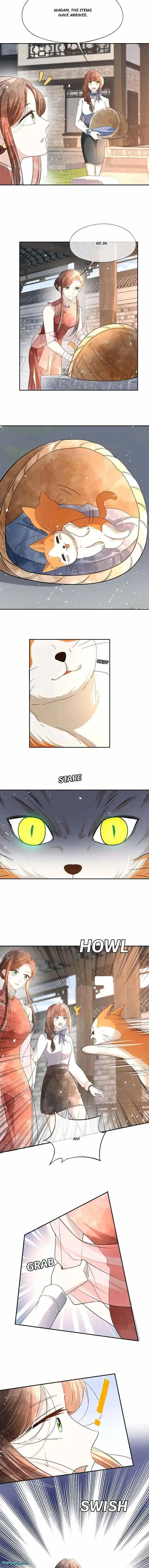 Don't Provoke the Contract Wife Ch.312