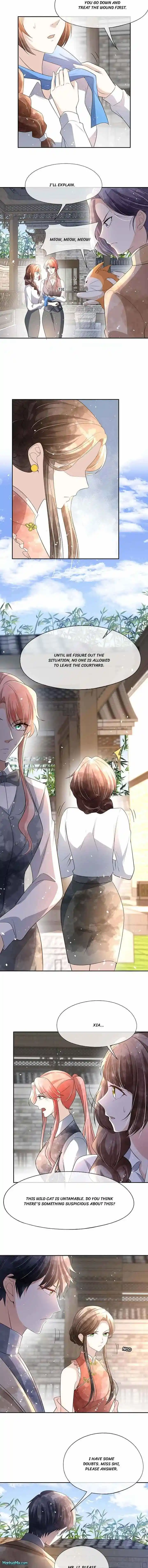 Don't Provoke the Contract Wife Ch.313