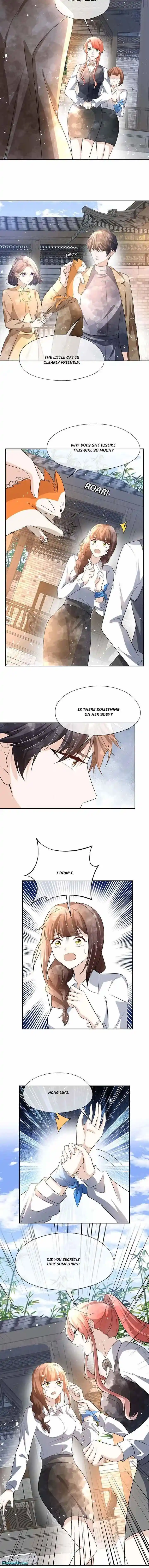 Don't Provoke the Contract Wife Ch.313