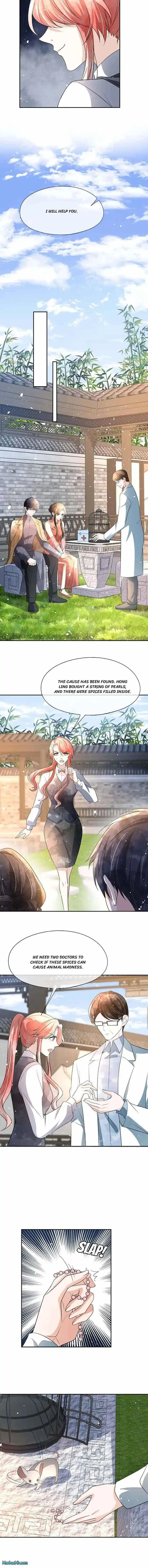 Don't Provoke the Contract Wife Ch.314