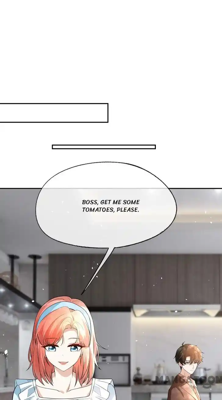 Don't Provoke the Contract Wife Ch.331