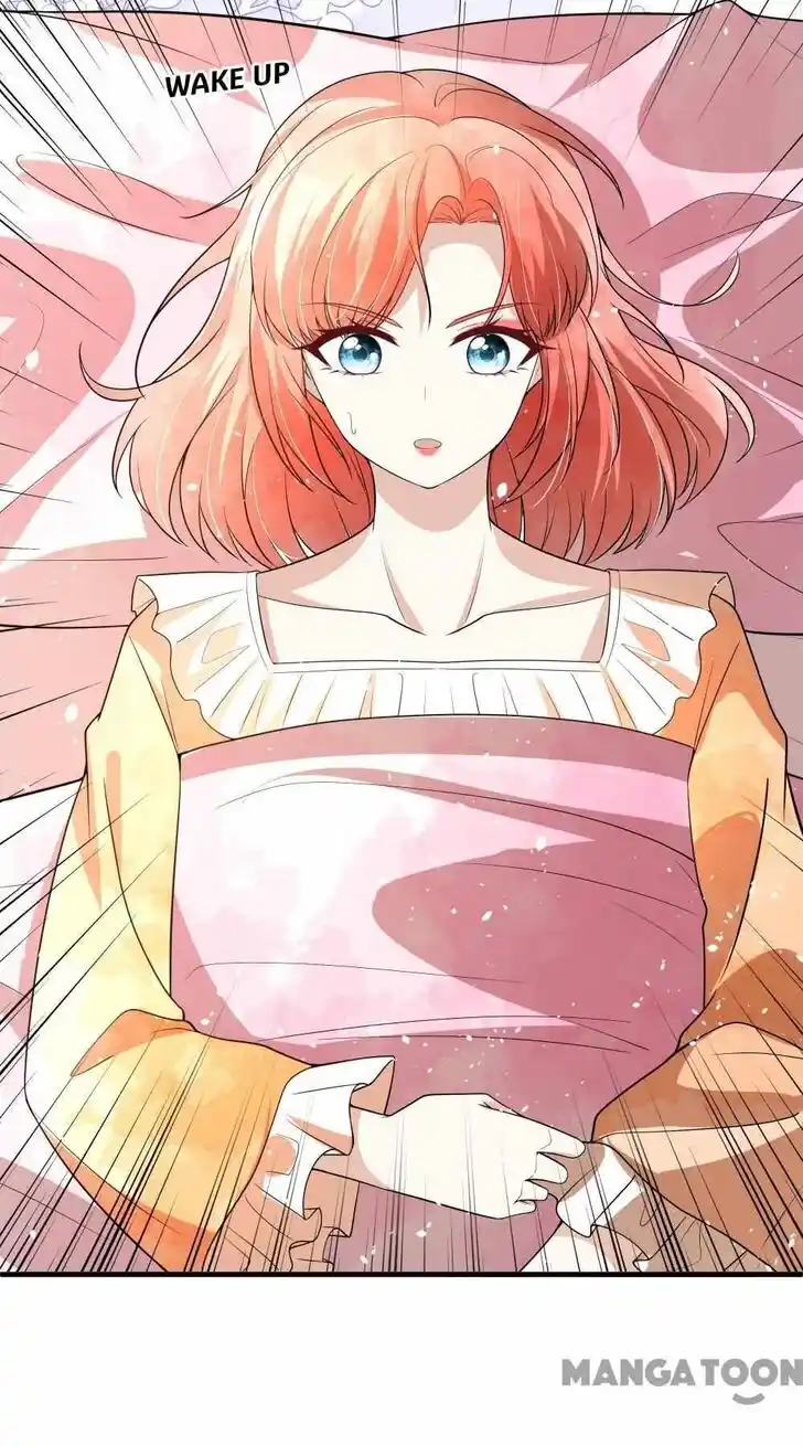 Don't Provoke the Contract Wife Ch.335