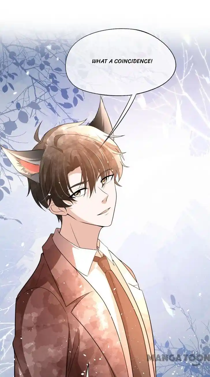 Don't Provoke the Contract Wife Ch.335