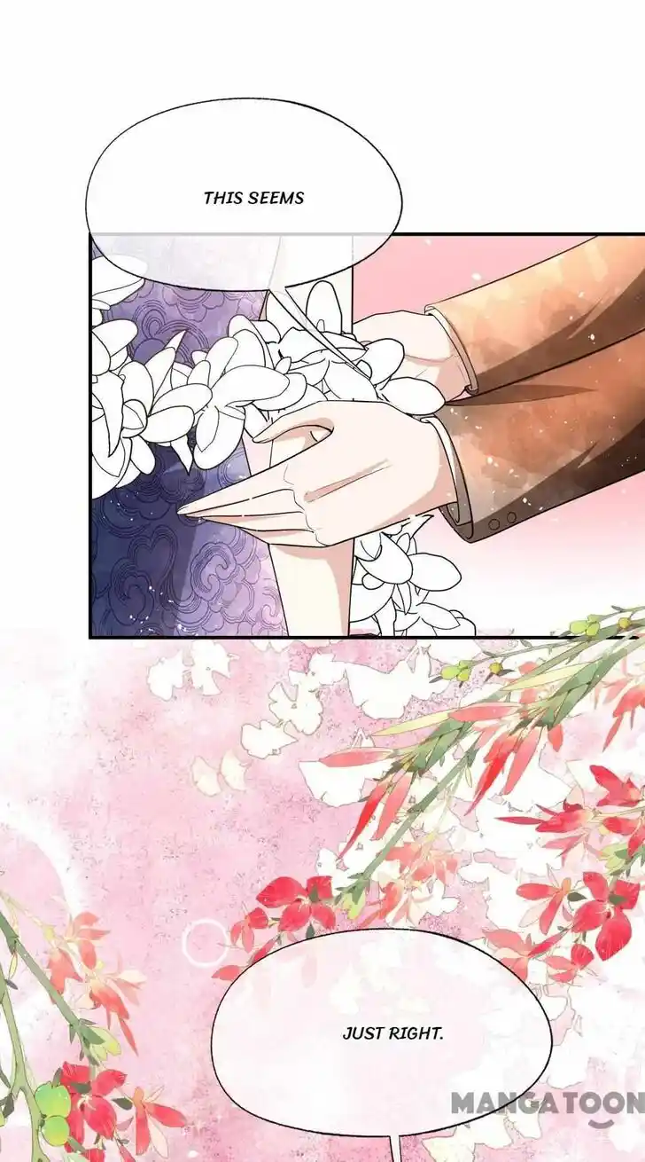 Don't Provoke the Contract Wife Ch.338