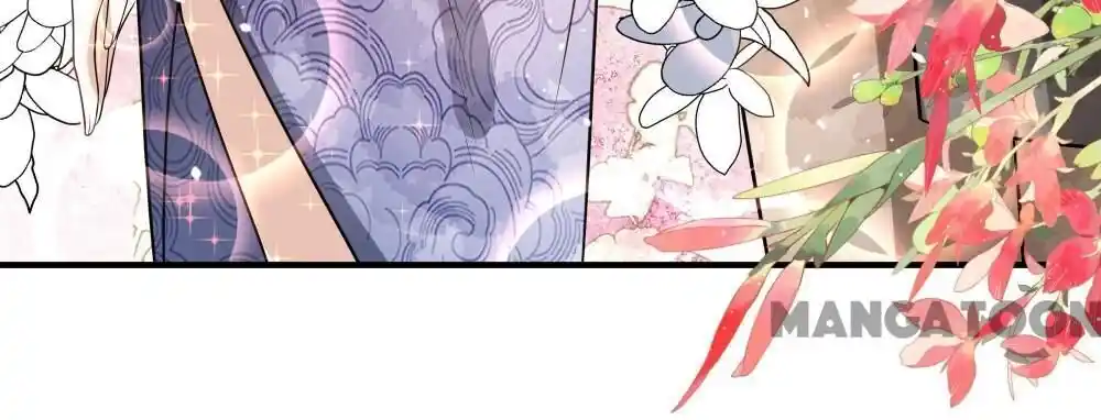 Don't Provoke the Contract Wife Ch.338