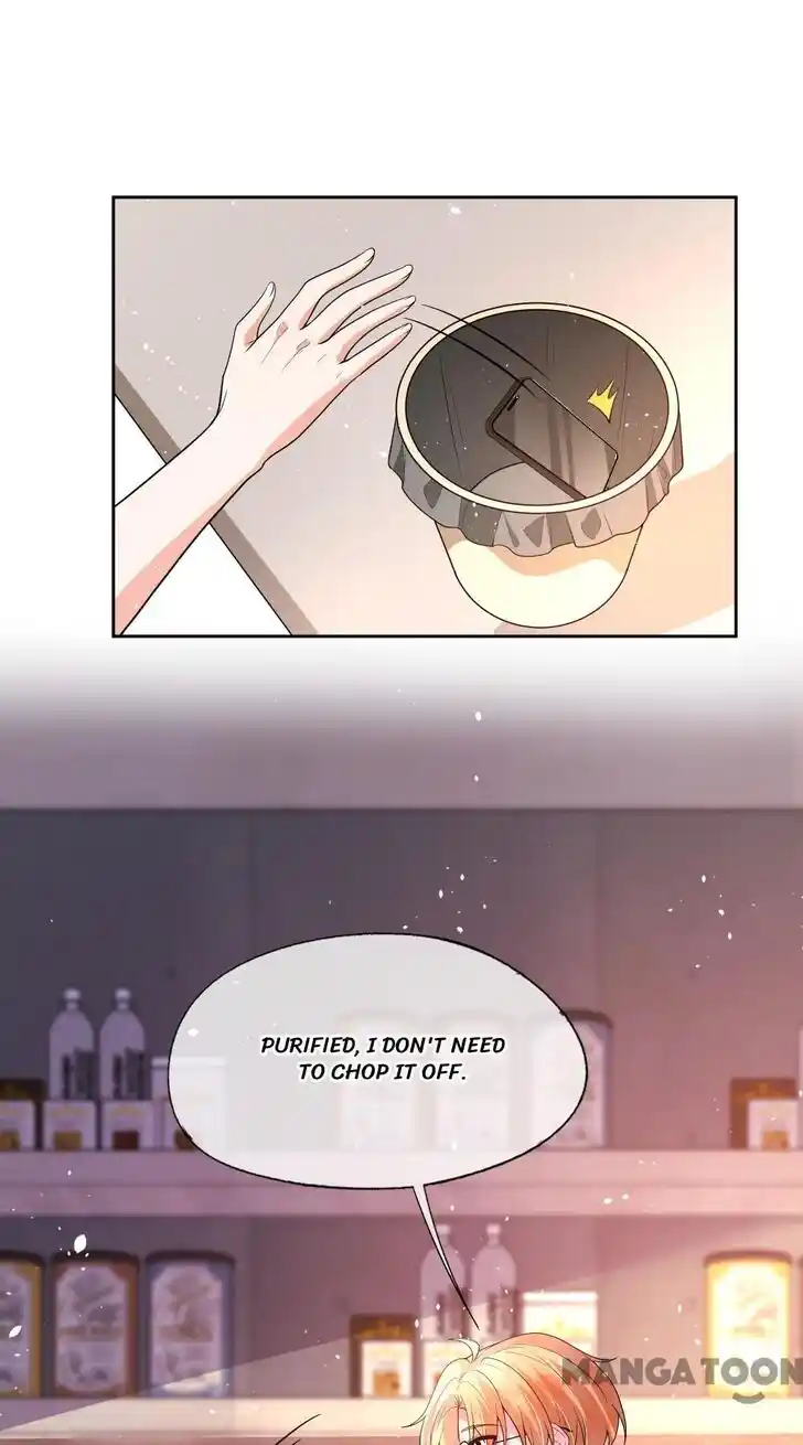 Don't Provoke the Contract Wife Ch.343