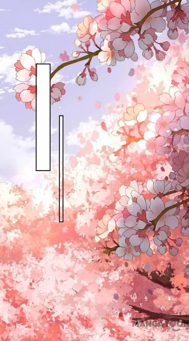 Don't Provoke the Contract Wife Ch.348