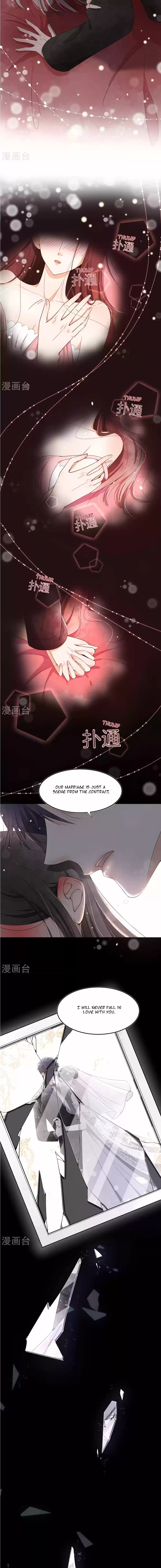 Don't Provoke The Contract Wife Chapter 1