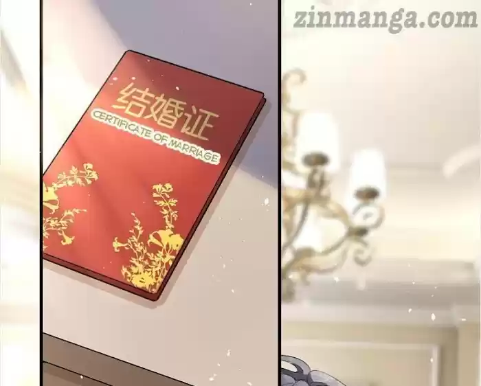 Don't Provoke The Contract Wife Chapter 108