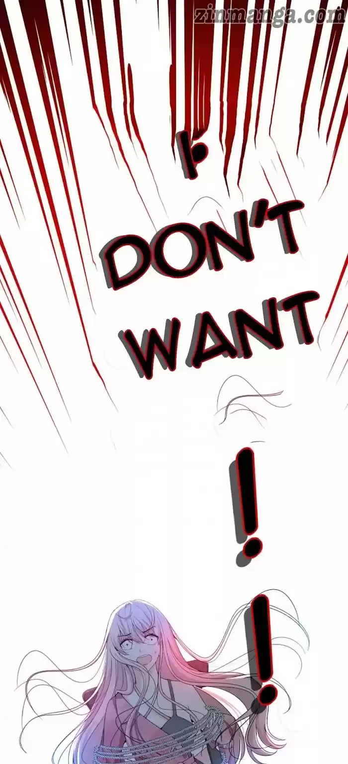 Don't Provoke The Contract Wife Chapter 114