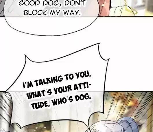 Don't Provoke The Contract Wife Chapter 134