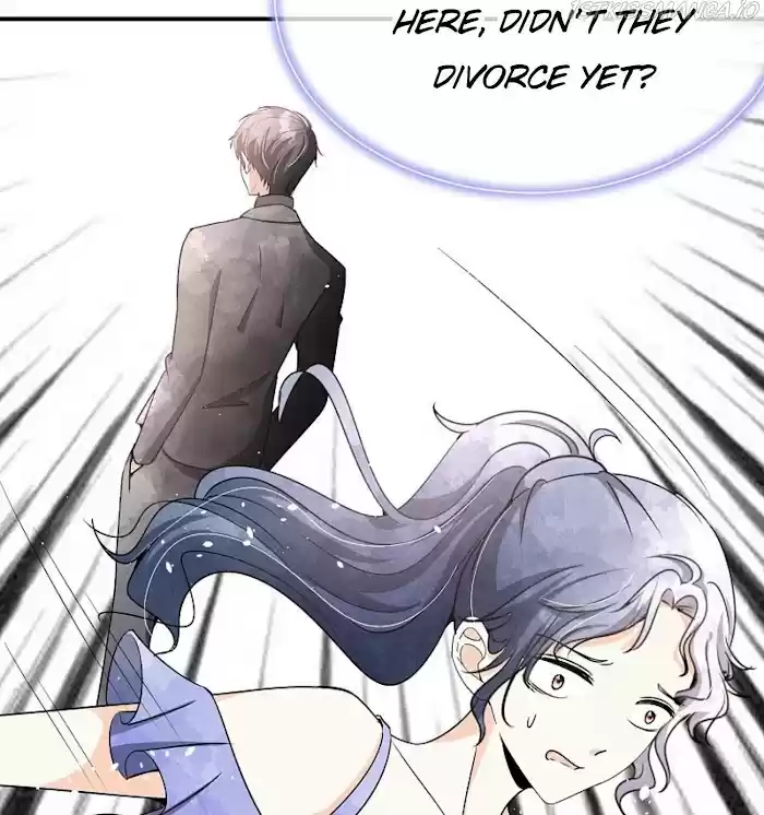 Don't Provoke The Contract Wife Chapter 142